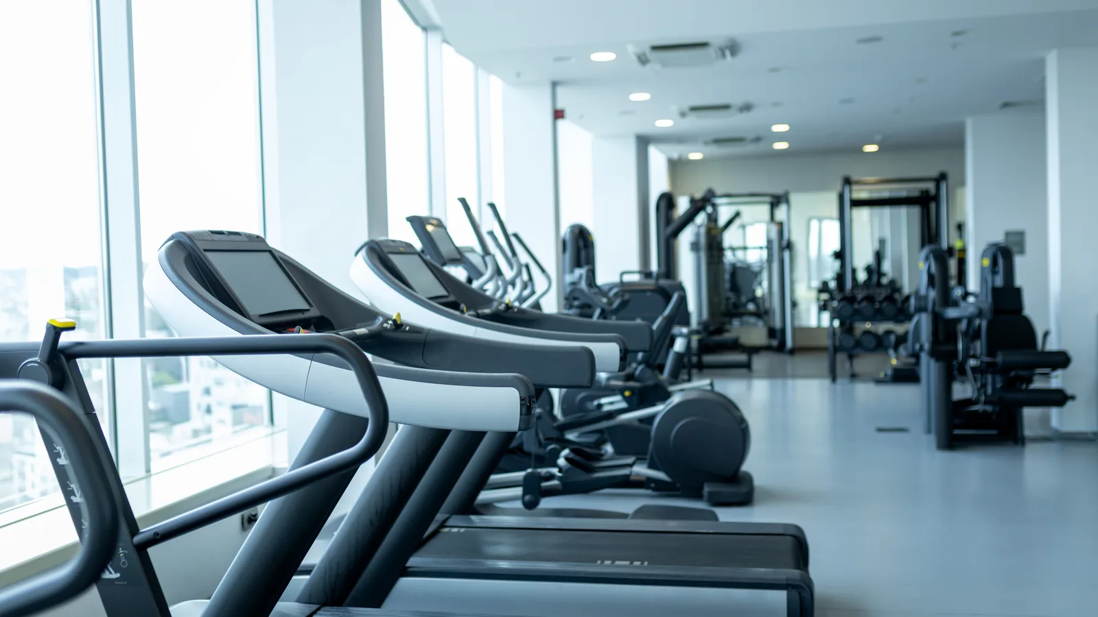 A row of treadmills beside tall windows on a bright gym floor, with more machines in the background — gym and fitness studio insurance in Ohio
