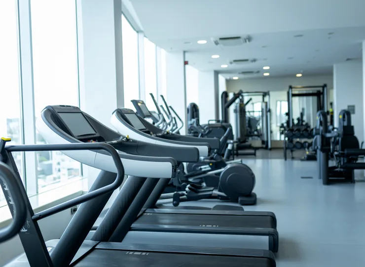 A row of treadmills beside tall windows on a bright gym floor, with more machines in the background